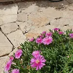 The Heart Of Dalmatia * Primošten