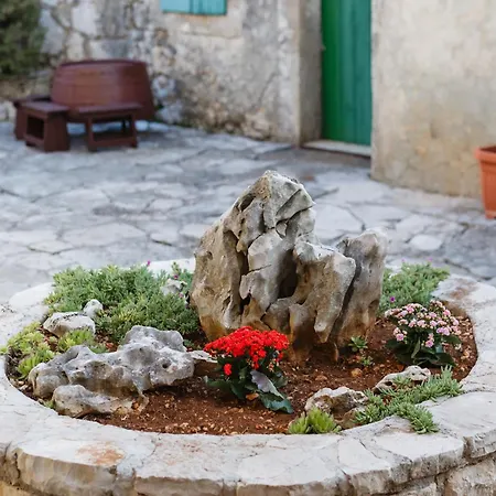 Appartamento The Heart Of Dalmatia *