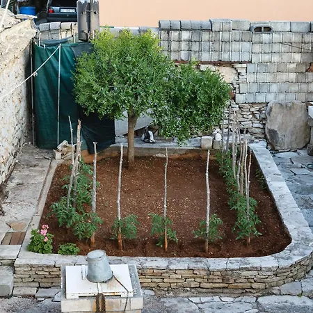 The Heart Of Dalmatia Primošten