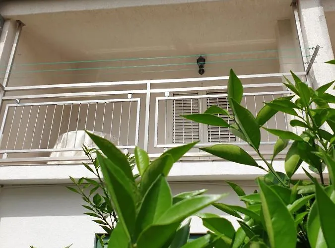 The Heart Of Dalmatia