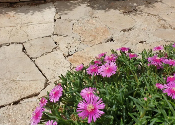 The Heart Of Dalmatia * Primošten